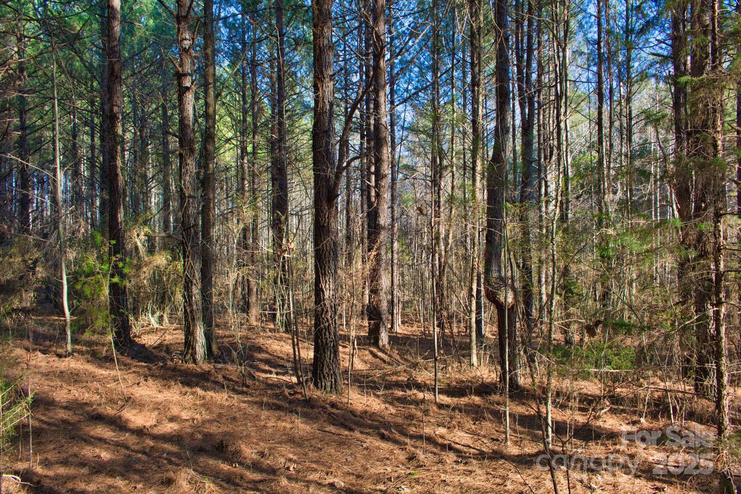 0 Clearwater Parkway 209