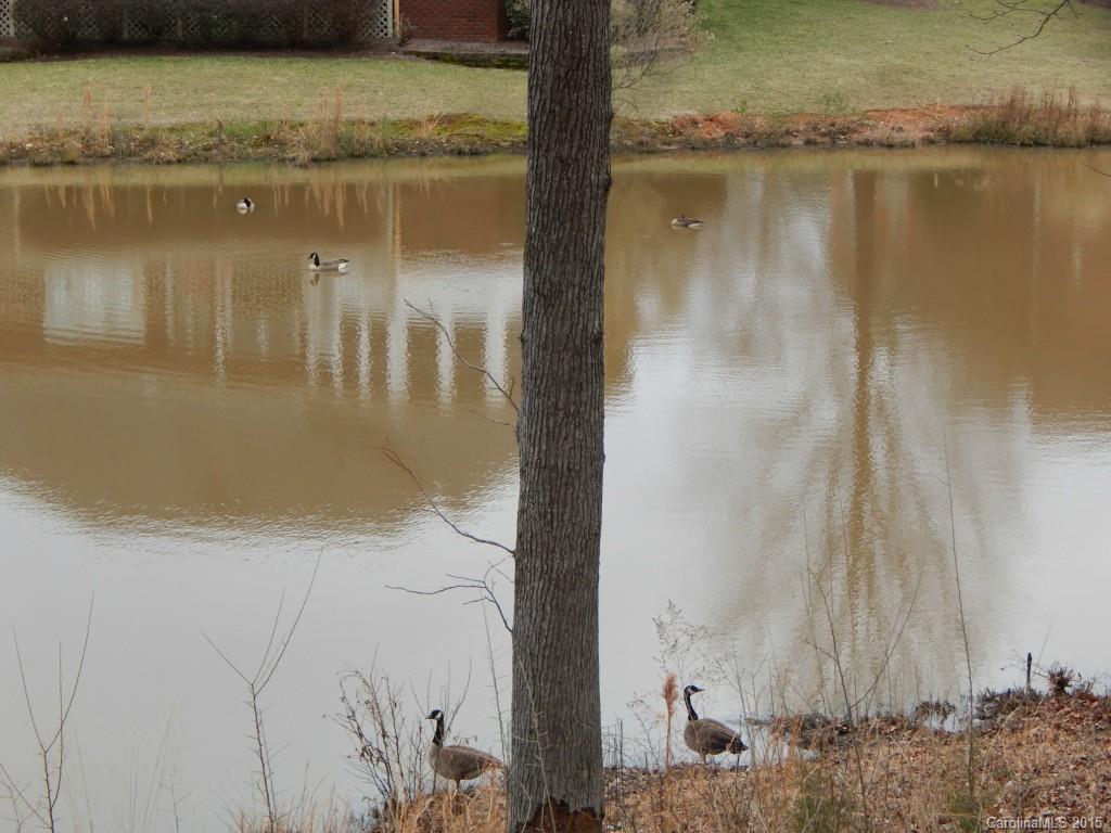 Channing Park - Residential