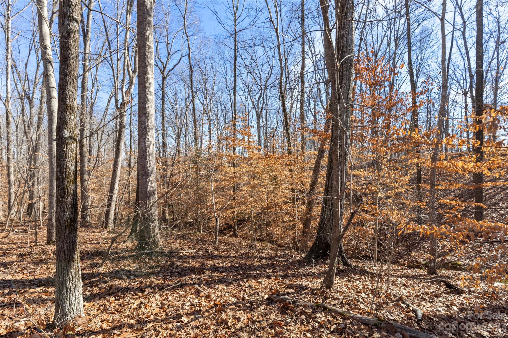 Oakridge Acres - Land