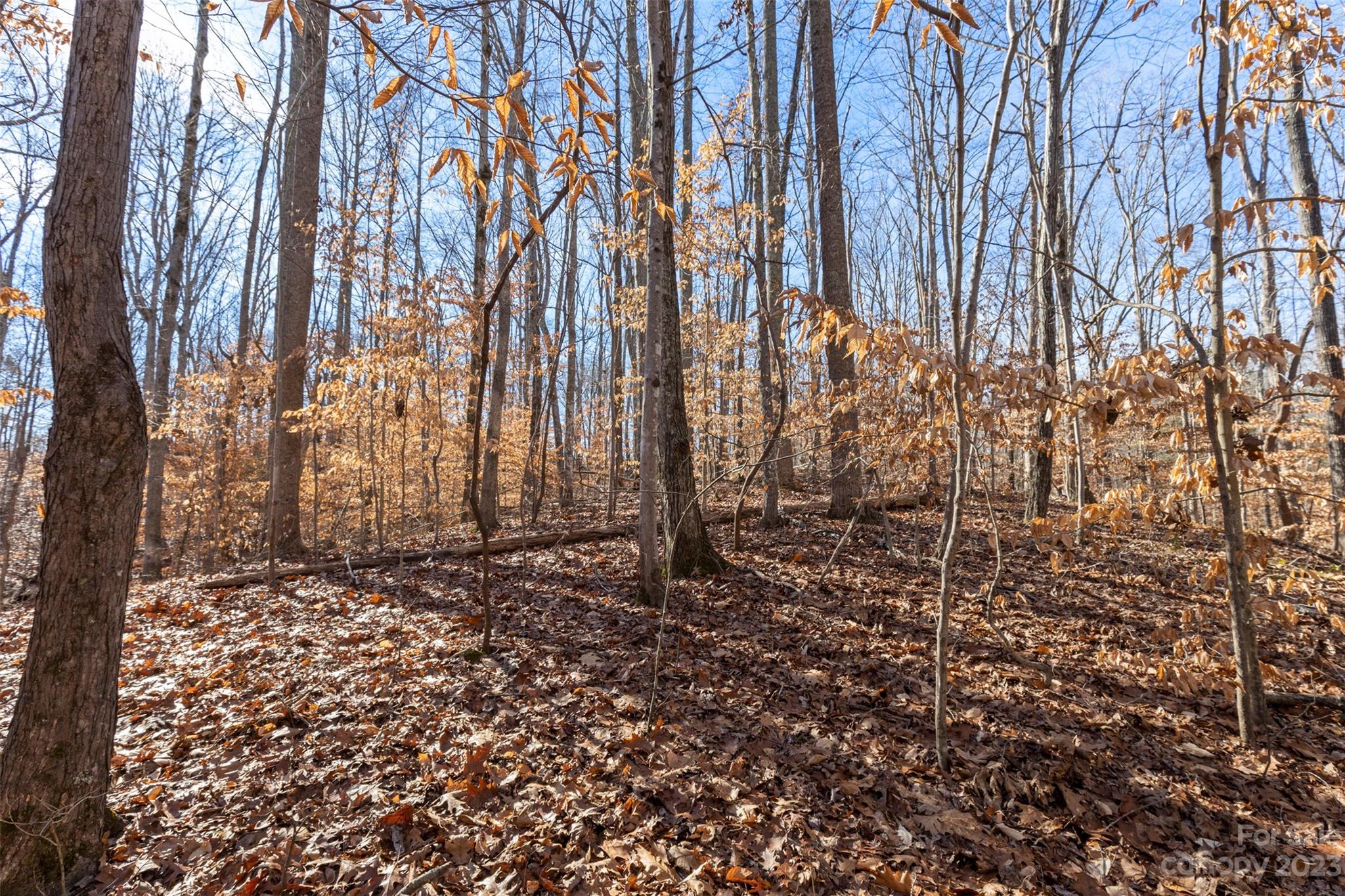Oakridge Acres - Land