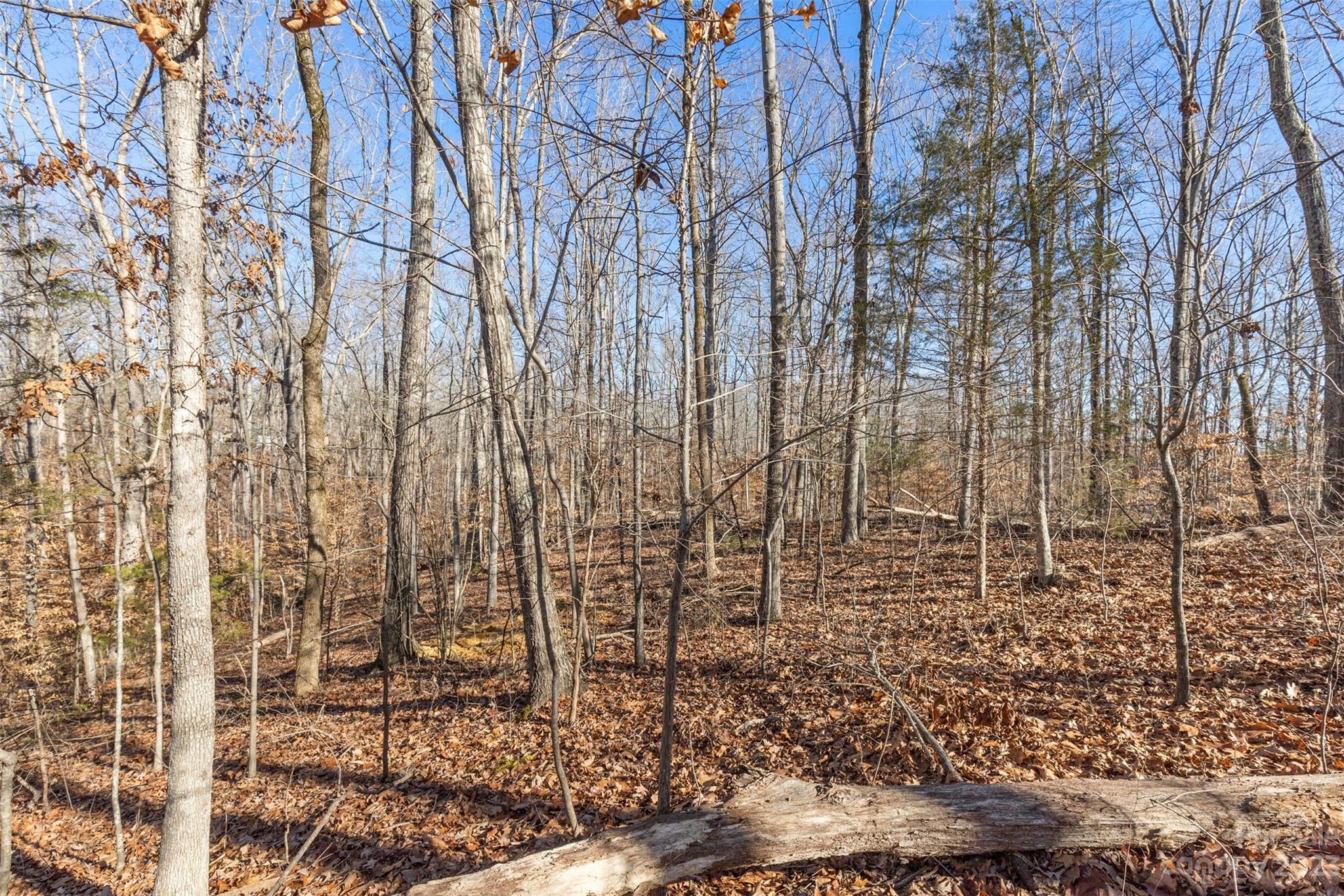 Oakridge Acres - Land