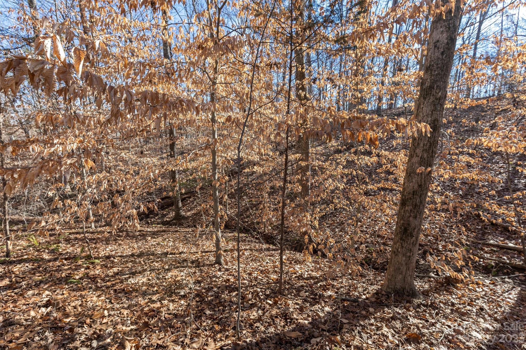 Oakridge Acres - Land