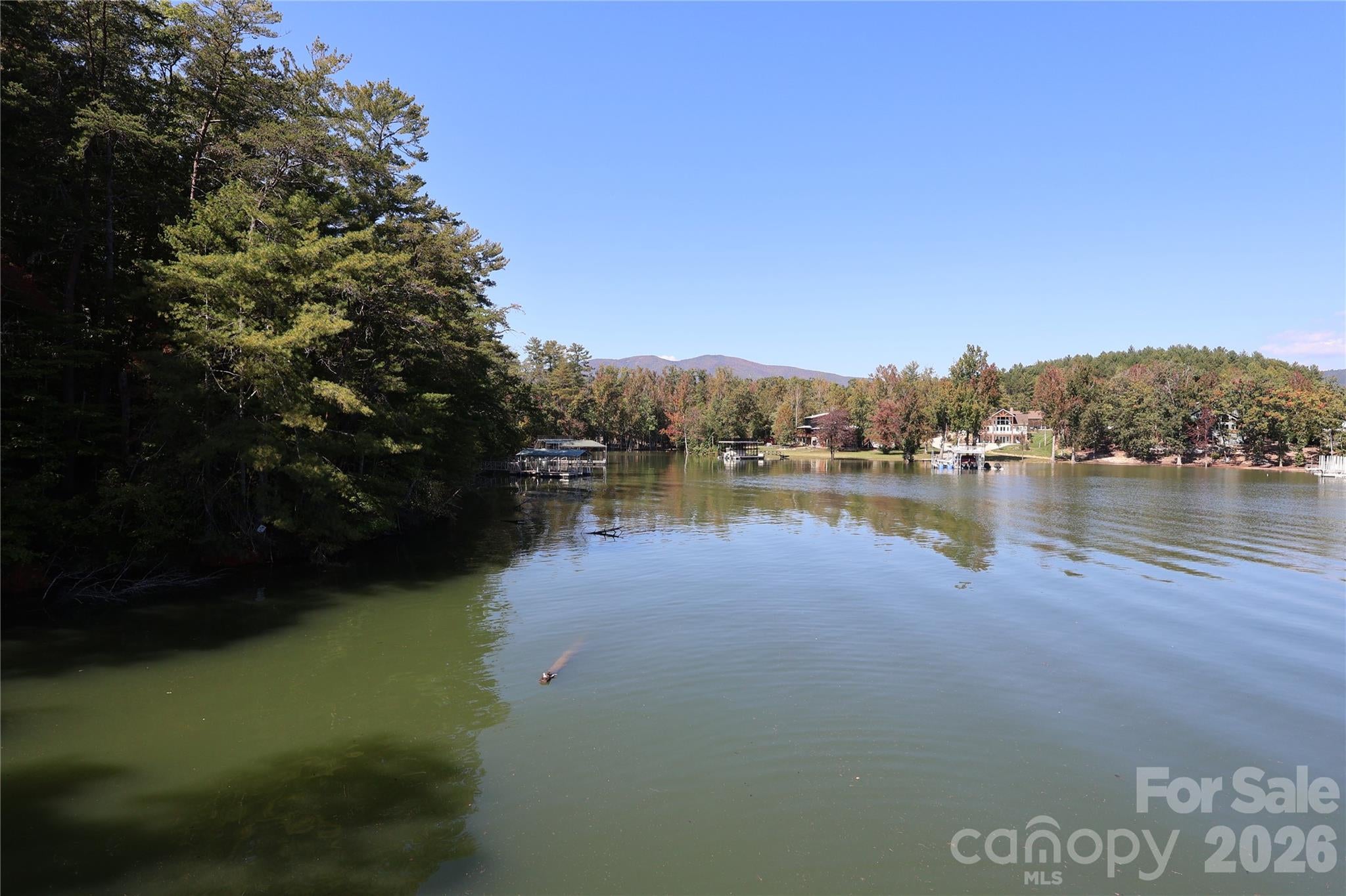 25 Linville View Drive 8