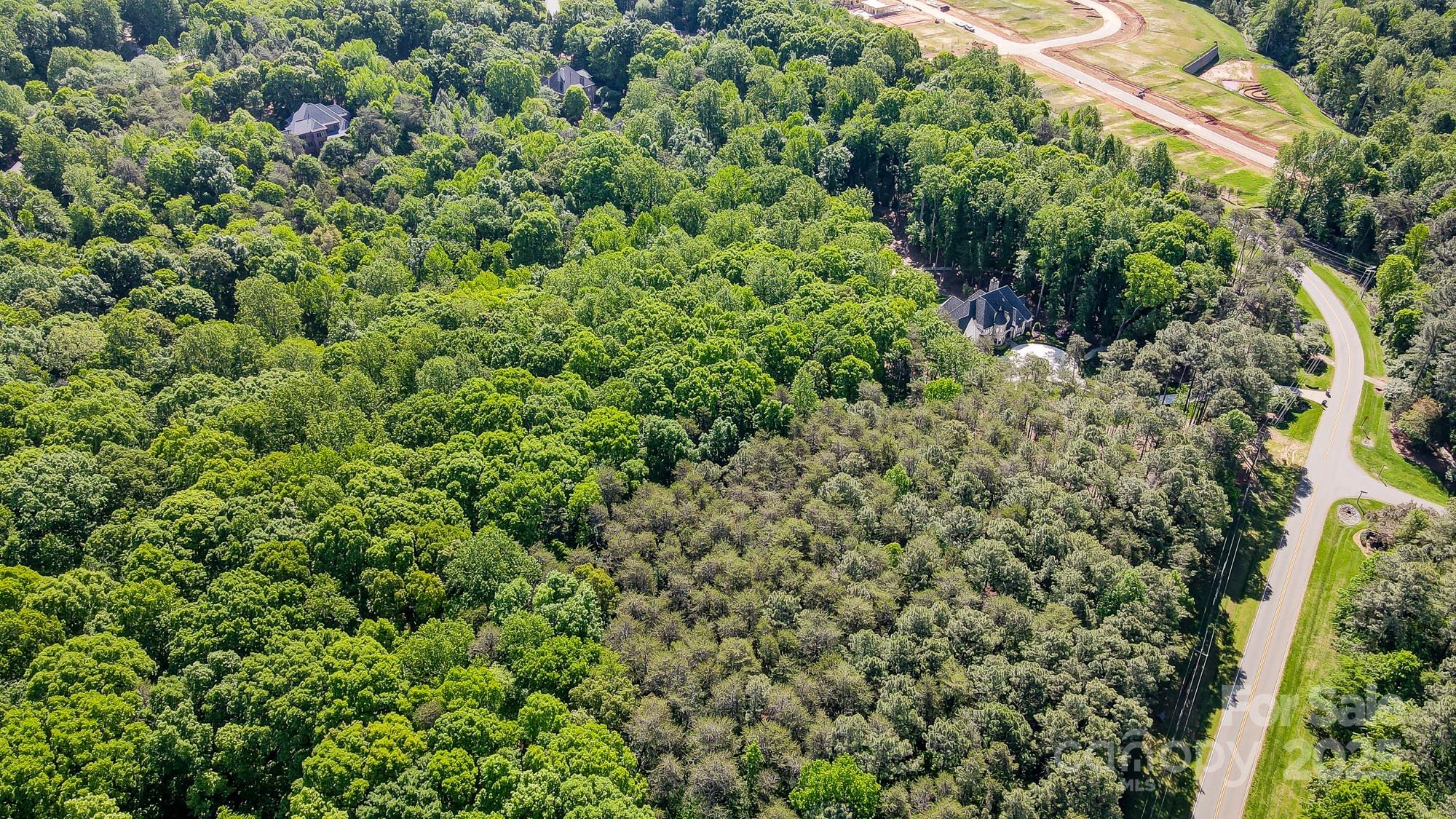 The Sanctuary - Land