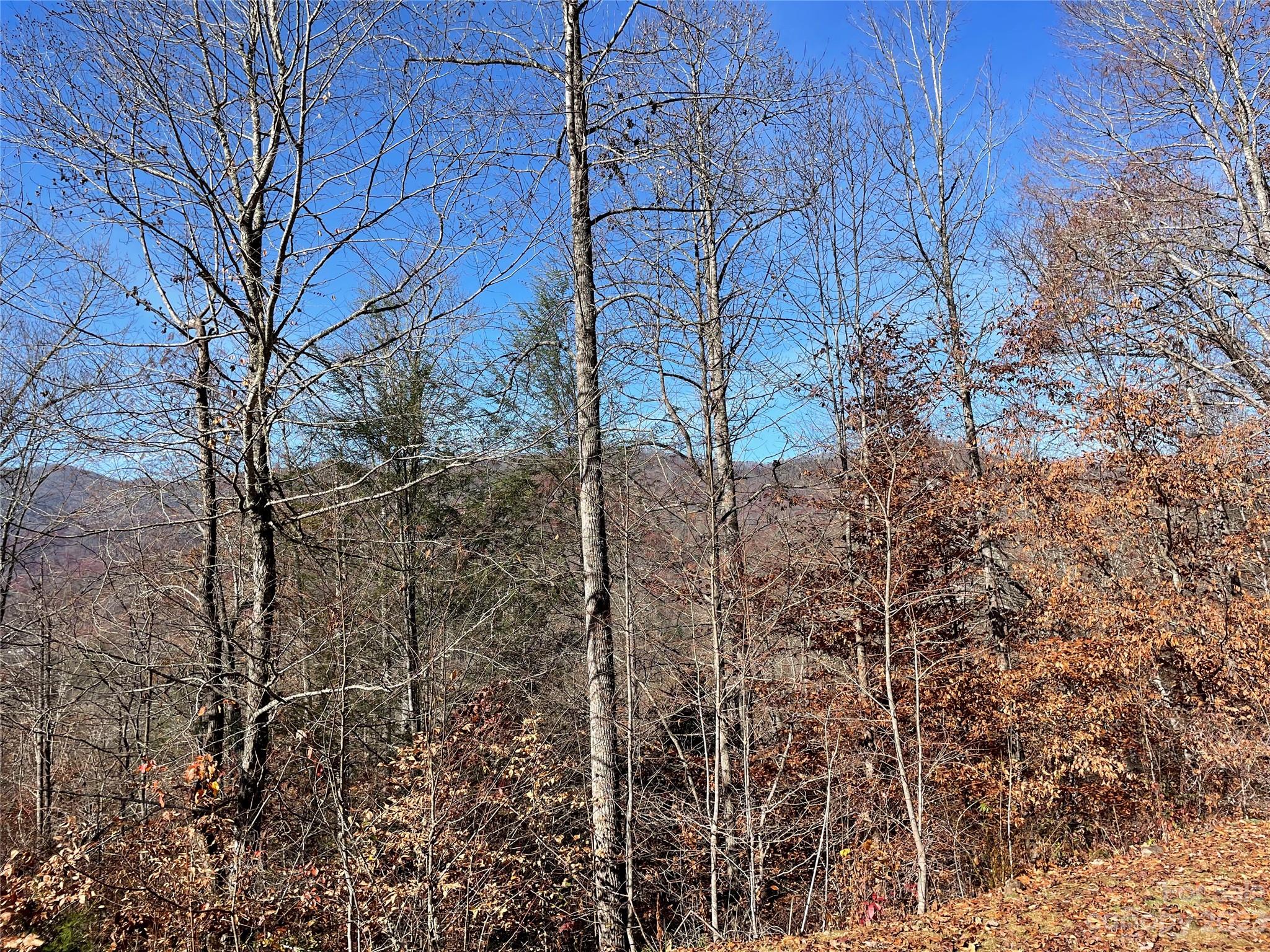 Wildcat Cove - Residential