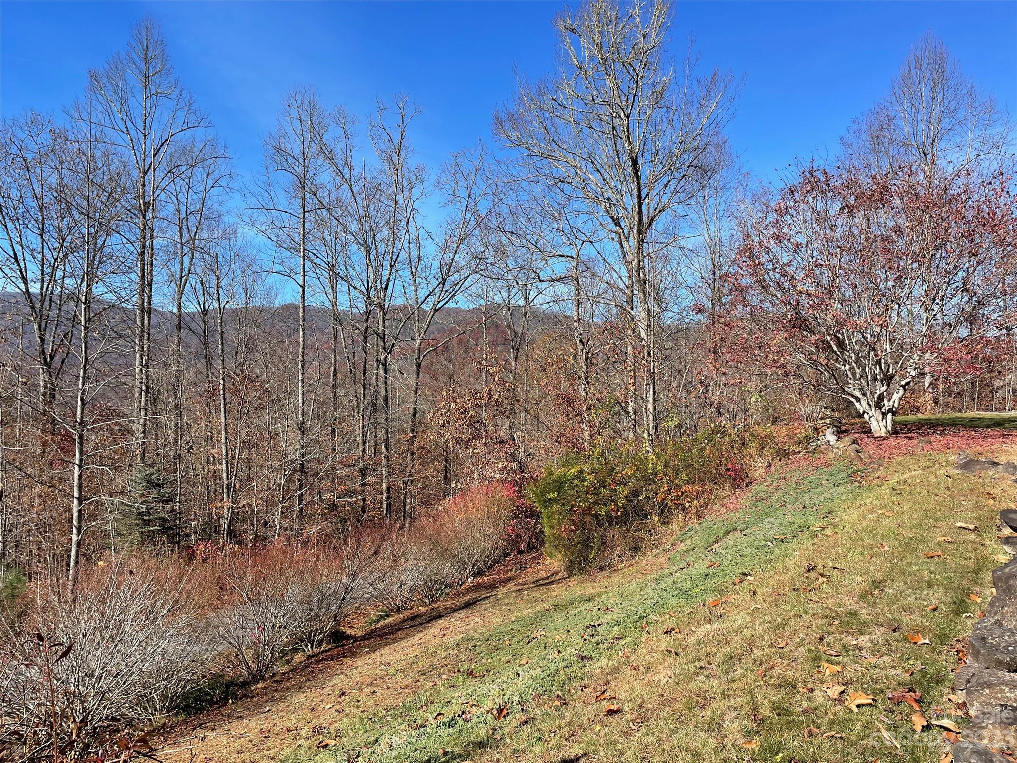 Wildcat Cove - Residential