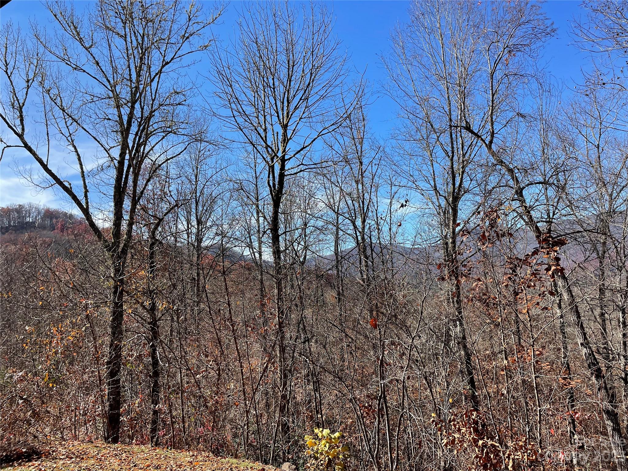 Wildcat Cove - Residential