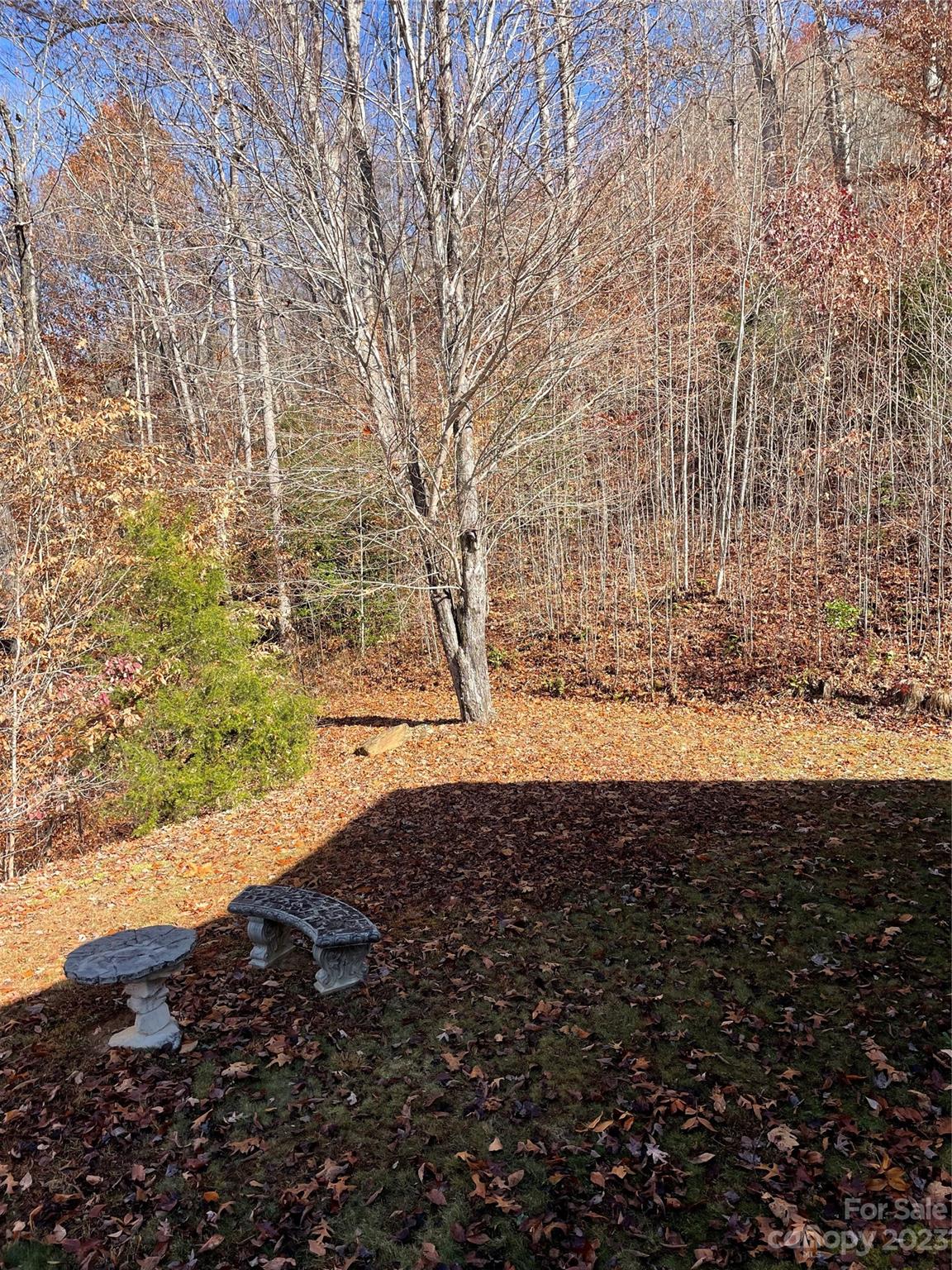 Wildcat Cove - Residential