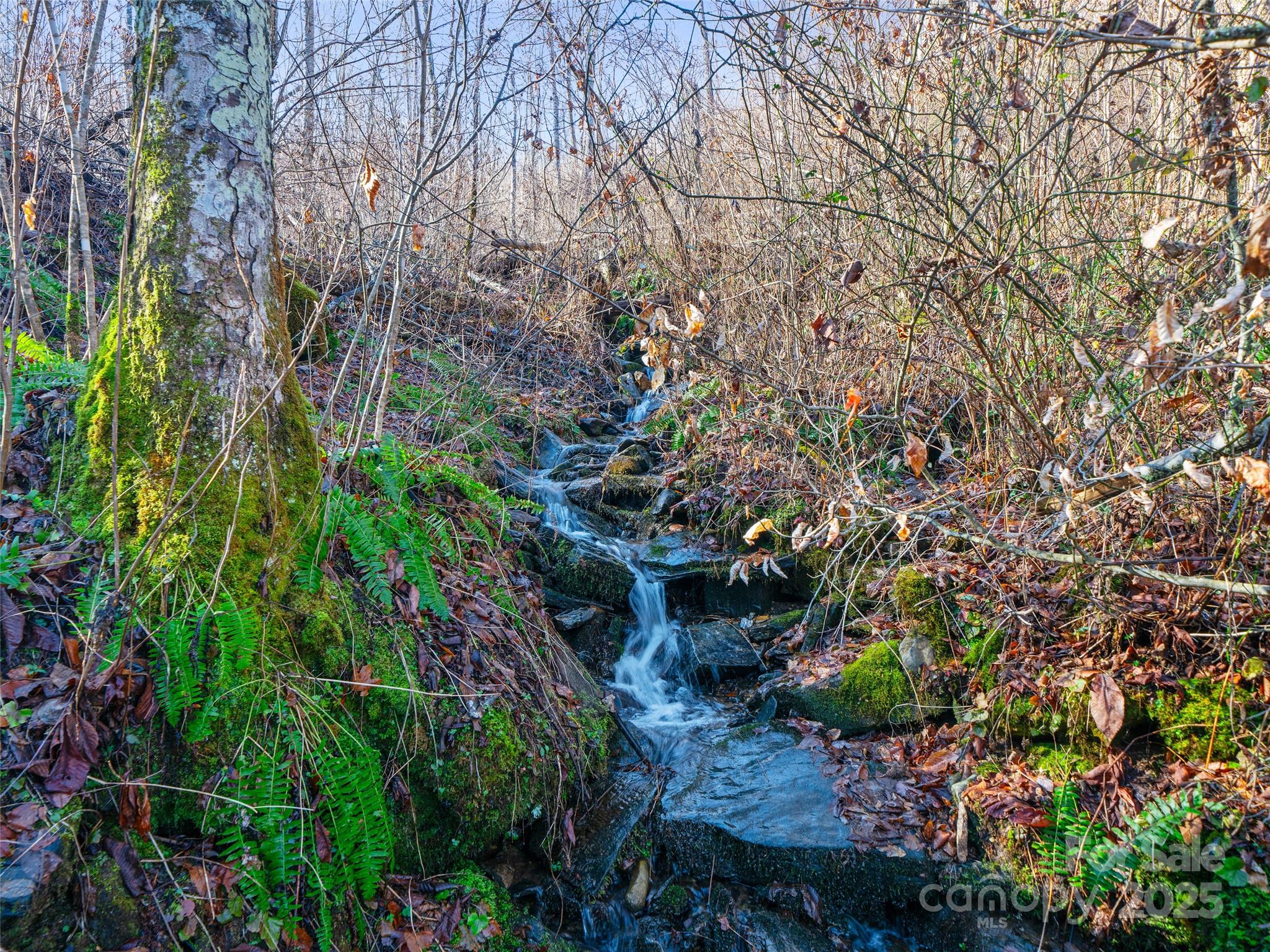 TBD Prices Creek Road