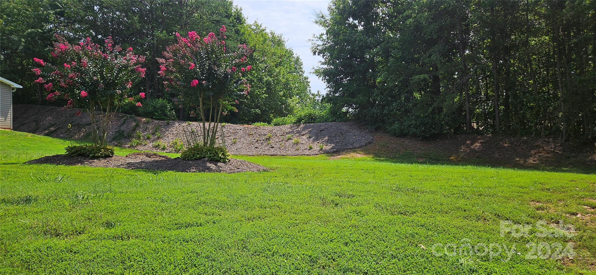 Morgan Trace - Land
