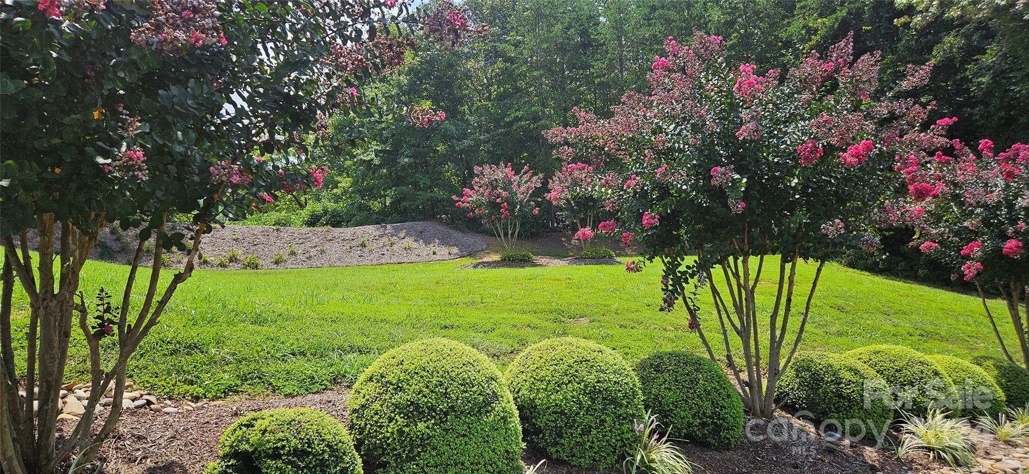 Morgan Trace - Land