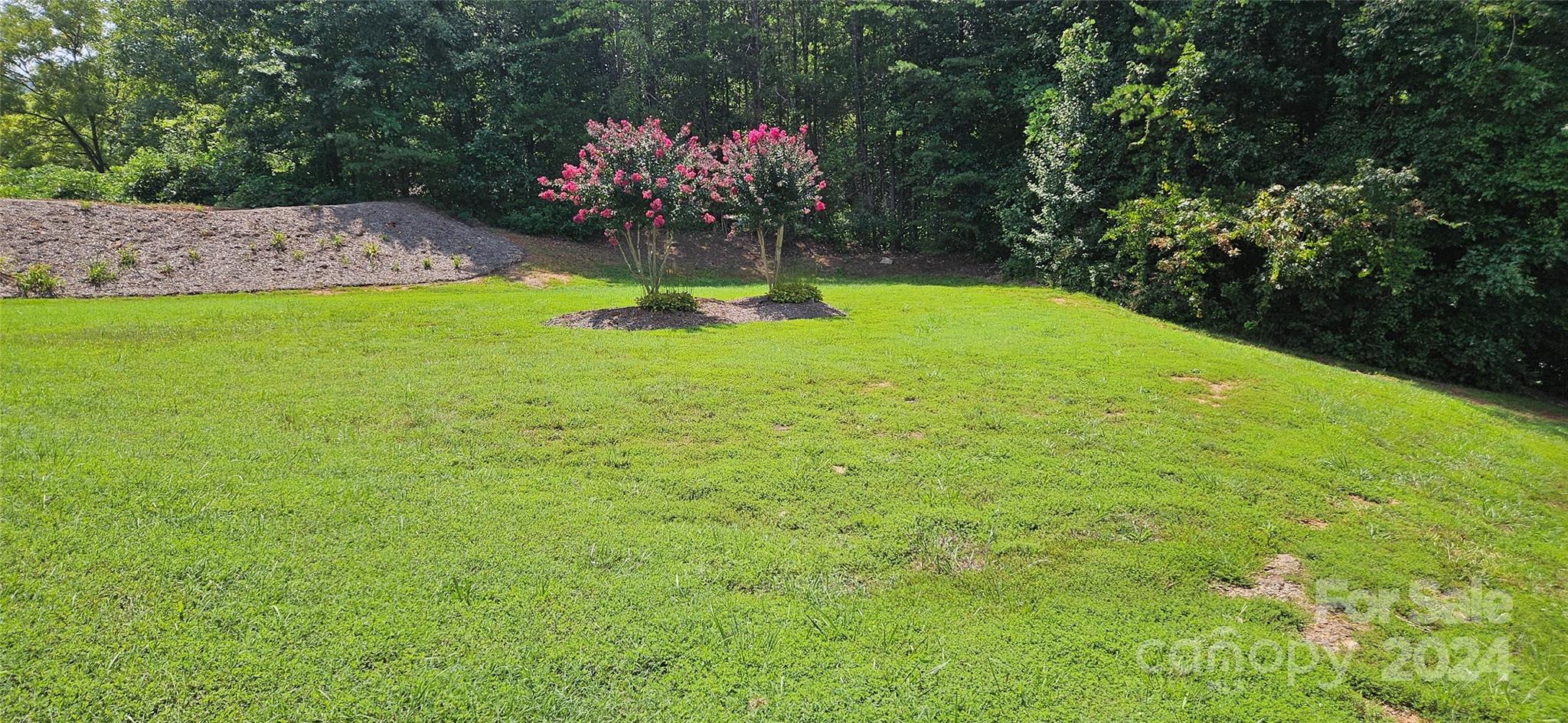 Morgan Trace - Land