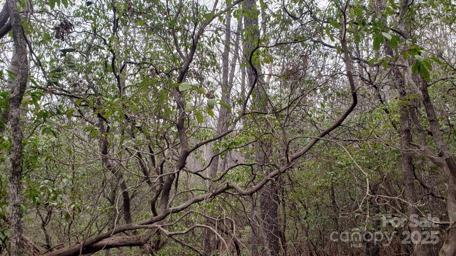 Connestee Falls - Land