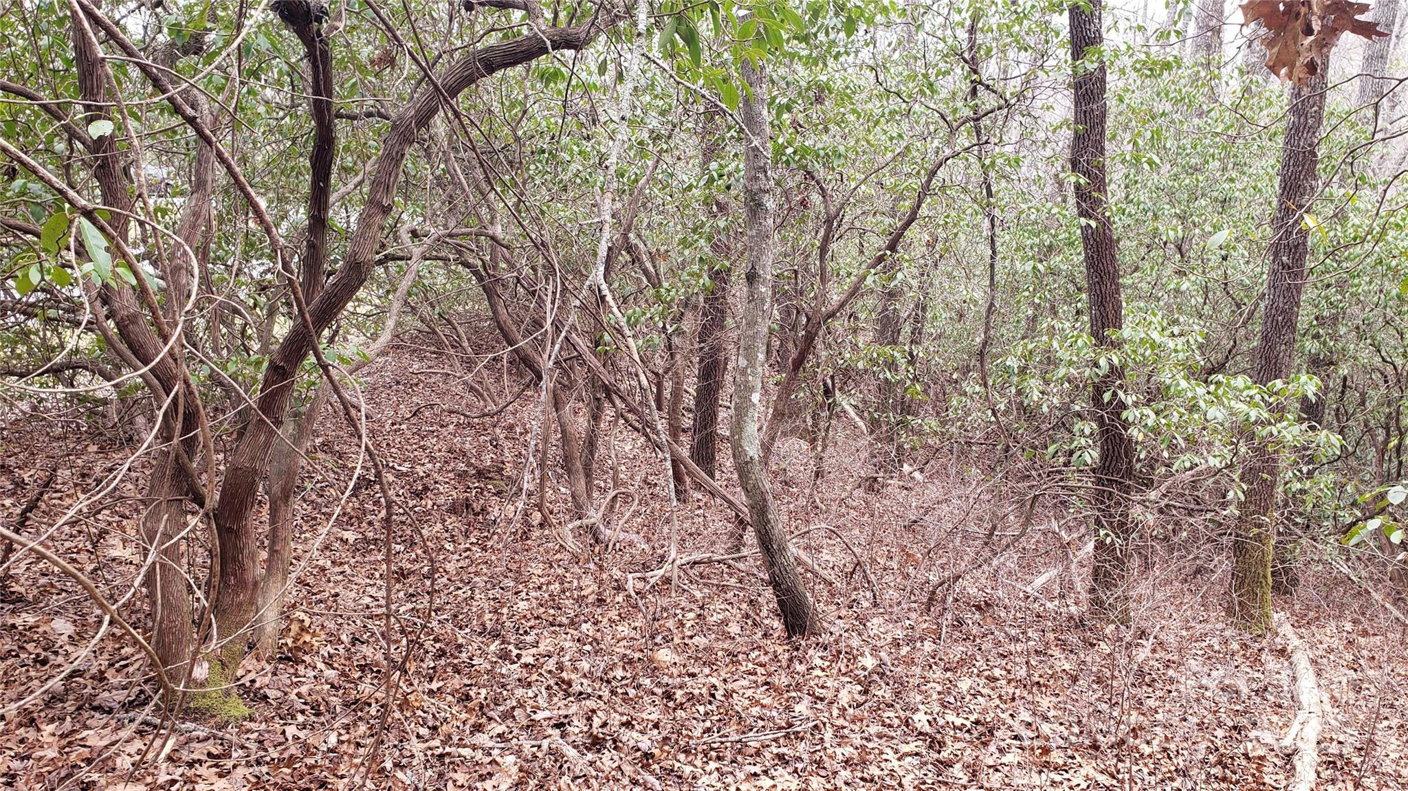 Connestee Falls - Land