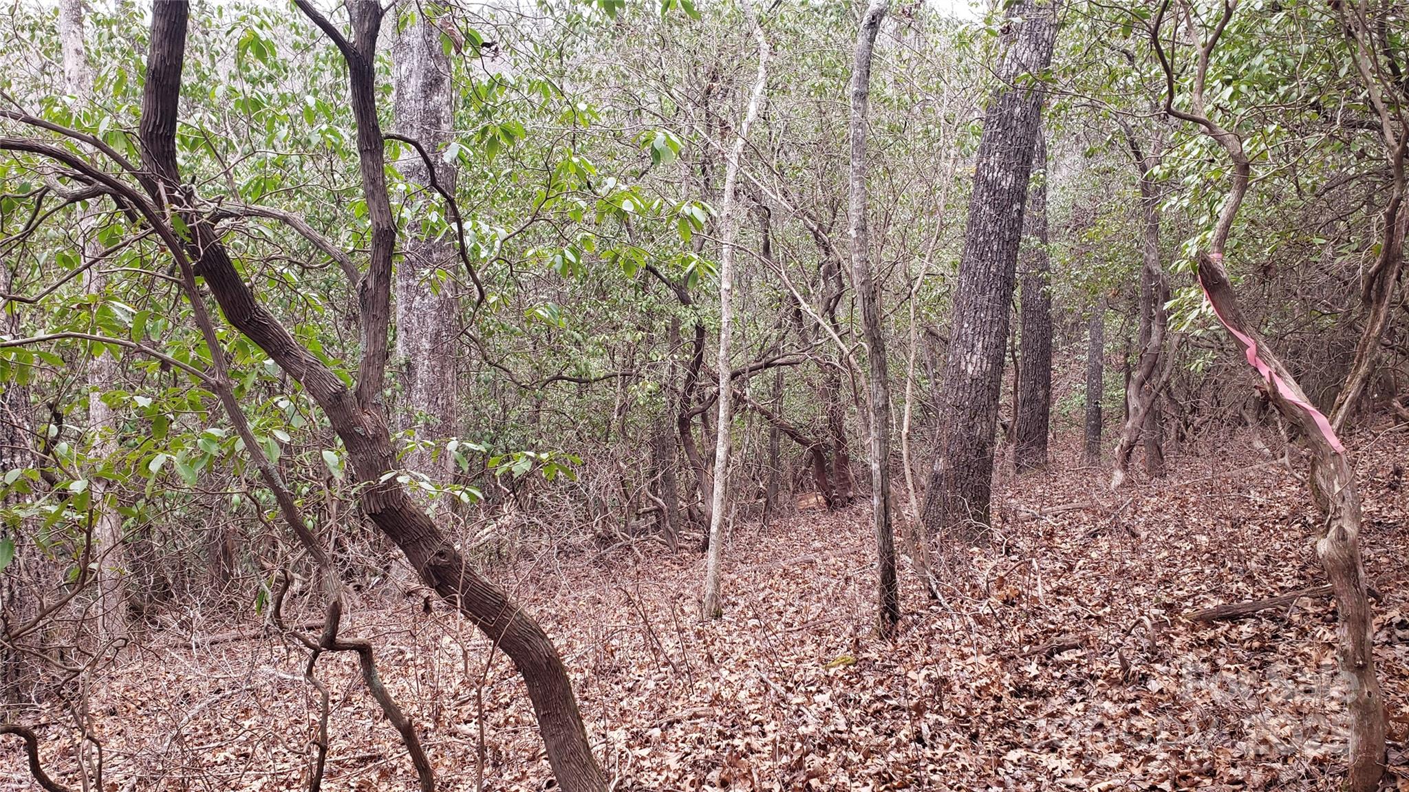 Connestee Falls - Land