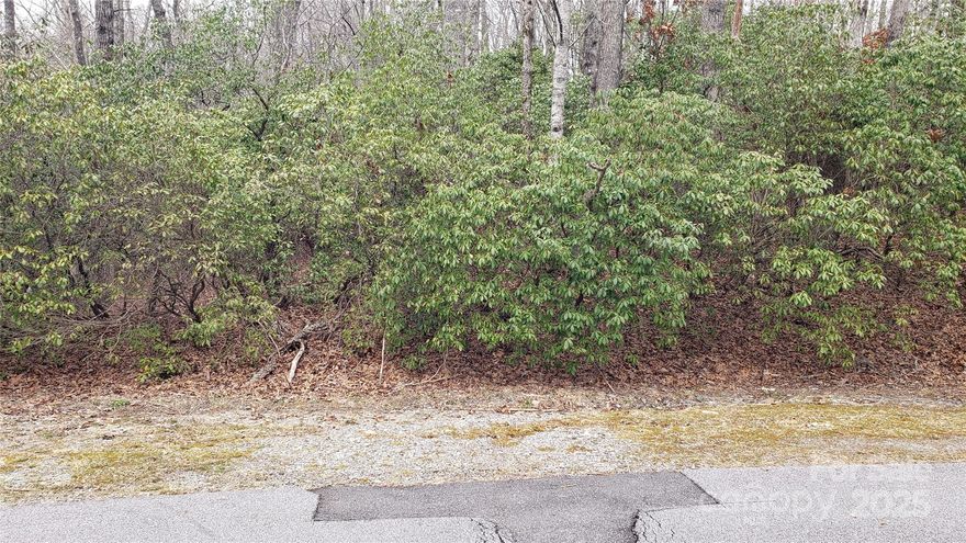 Build your next home on this fantastic lot with a gentle slope and easy egress to any site plan. This lot is located near the East Fork Gate and a quick drive to the club house and Lake Atagahi Park as well as the Cedar Mountain community and Dupont State Forest. It also backs up to a large piece of common area, assuring peace and quietude to enjoy surrounding natural habitat. Connestee Falls is a 3900 acre gated community with 4 lakes, club house, golf course, miles of trails, and a community of involved and active residents. This is a great price for a great lot and an opportunity to build your dream home.