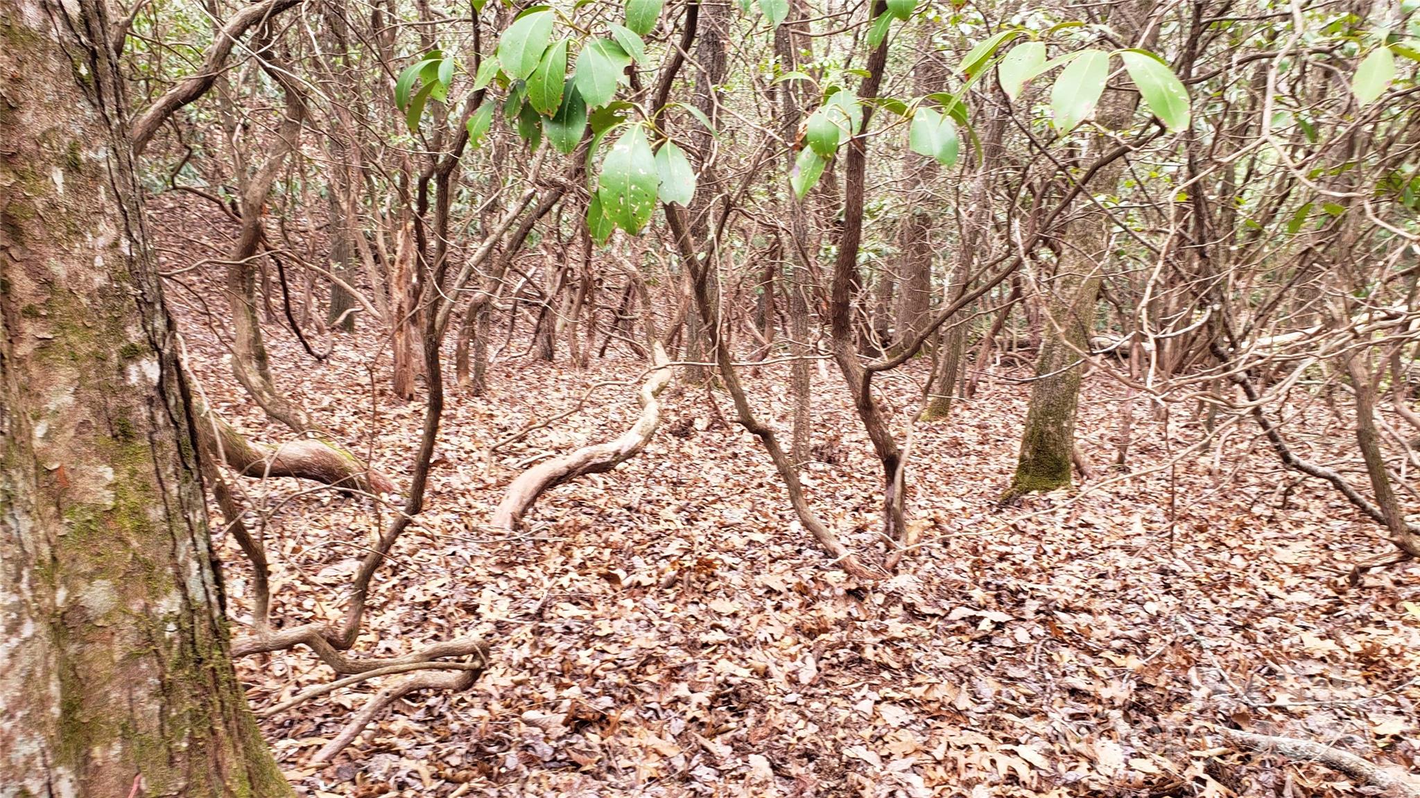 Connestee Falls - Land