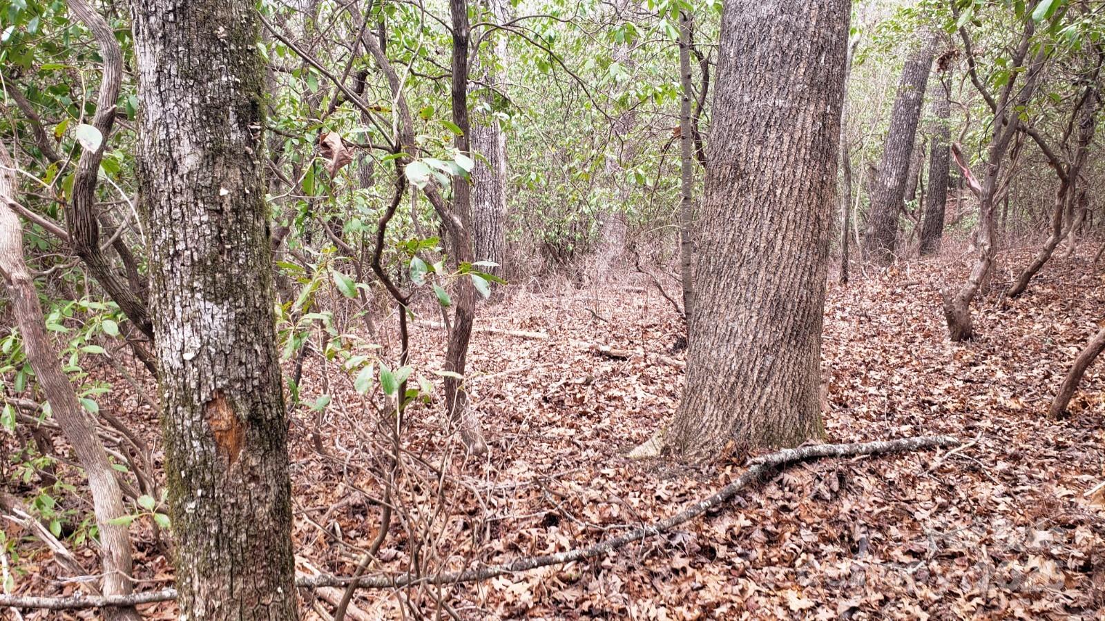 Connestee Falls - Land