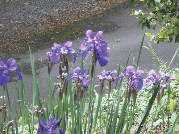 Laurel Falls - Residential