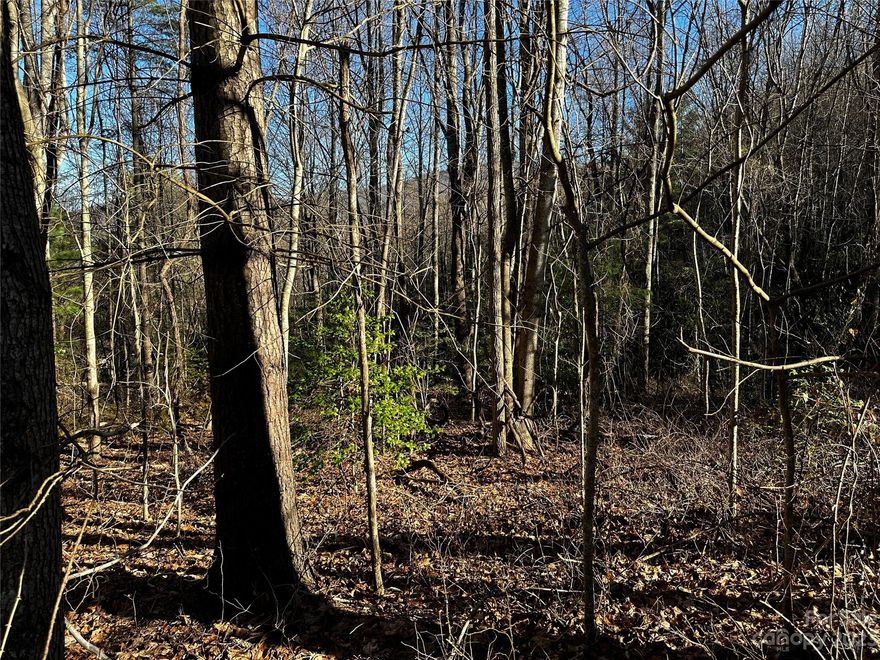 Discover the perfect canvas for your dream home on this corner lot situated off of Big Cove Rd just minutes to Waynesville. Mostly level topography, this parcel invites an easy building process, providing an ideal foundation for your envisioned residence. Enjoy year-round access to this locale via paved road, ensuring convenience and ease in crafting your ideal living space. Short-range views grace the horizon, creating a picturesque backdrop for your daily life. Perched at a higher elevation, this property offers the allure of elevated mountain living without the need for a daunting drive. Whether you're envisioning a tranquil vacation retreat or a full-time residence surrounded by the beauty of Waynesville, the possibilities are boundless. No restrictions have been identified, offering you the freedom to design and build without constraints (buyer agent verification recommended).