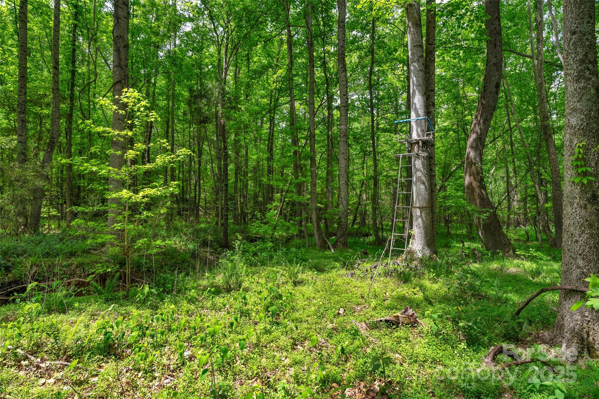 0000 Green Road