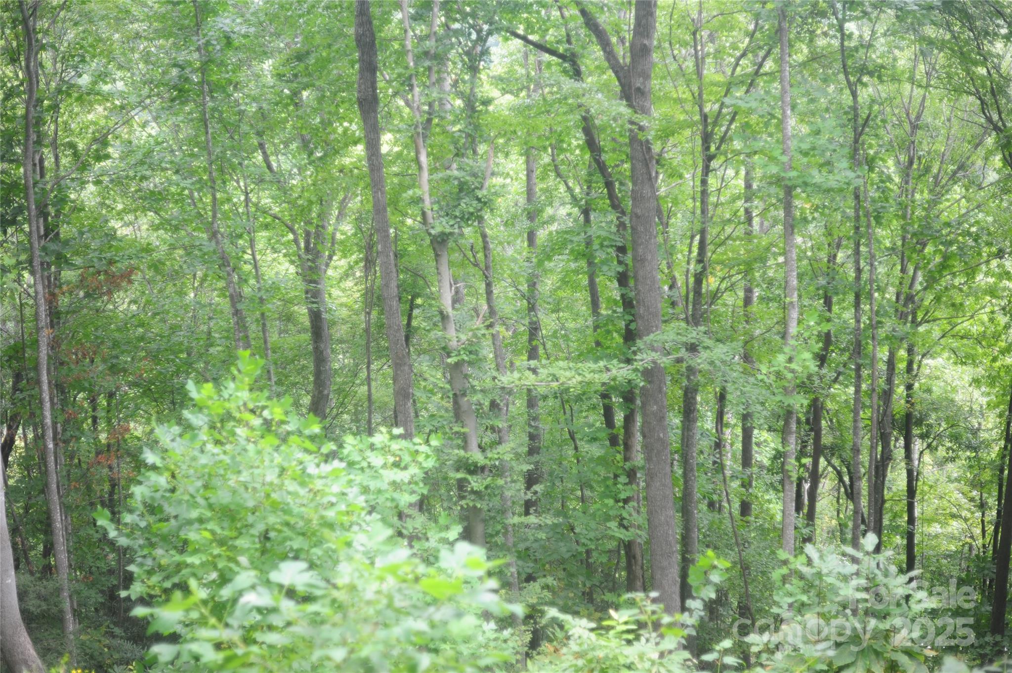 9 Wood Haven Lane 108