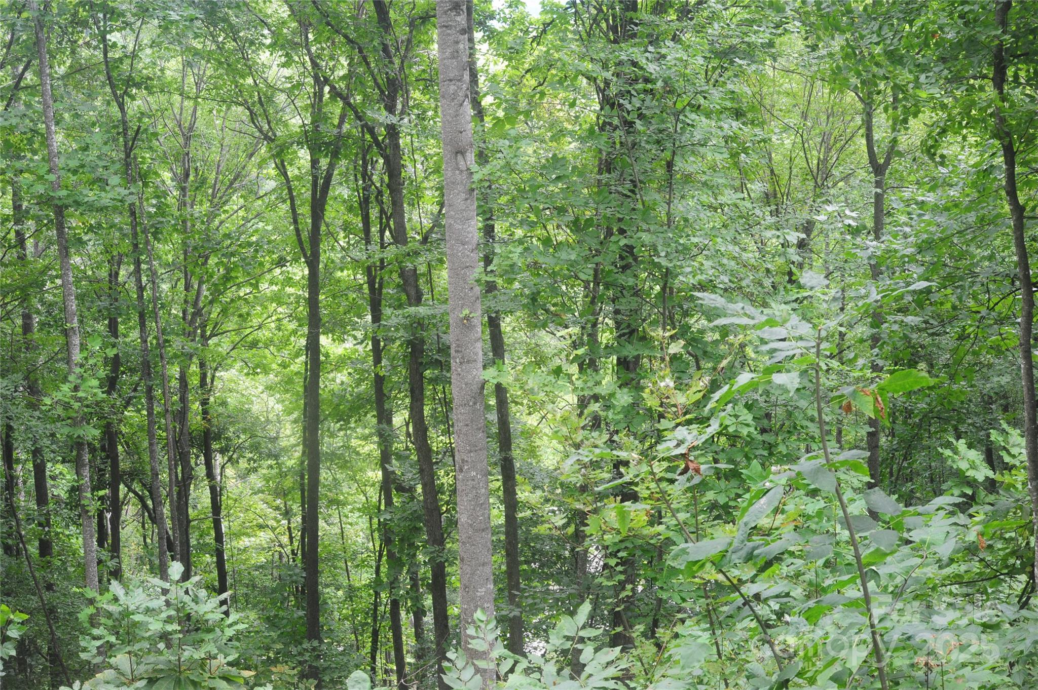 9 Wood Haven Lane 108