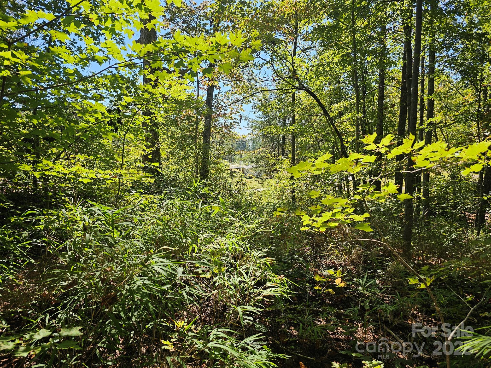 TBD Lackey town Road