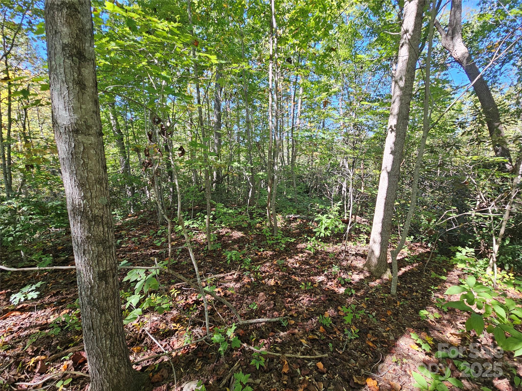 TBD Lackey town Road