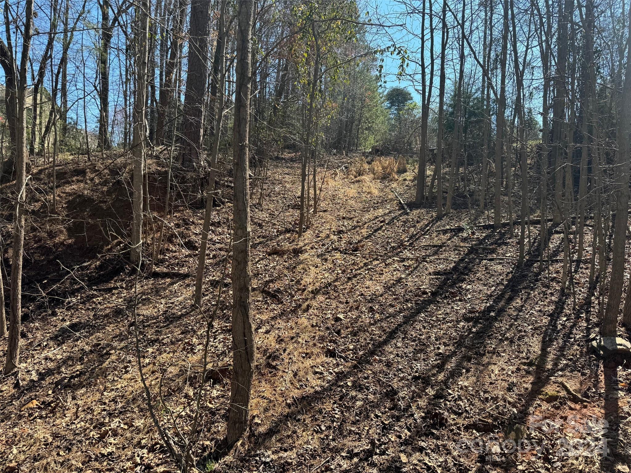 Reflection Pointe - Land