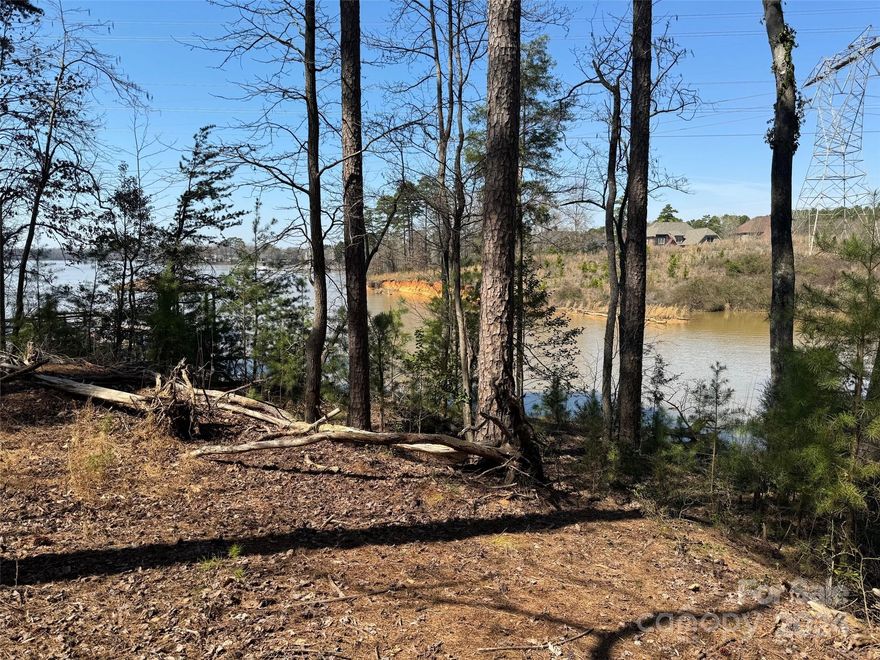 Beautiful lot in a cove with view of the main channel.  Sloping wooded lot to waterfront gives Buyer an opportunity to open the view as much as they desire with privacy on both sides.  Great lot for a basement construction. Reflection Pointe offers loads of amenities that you want without having to leave home.