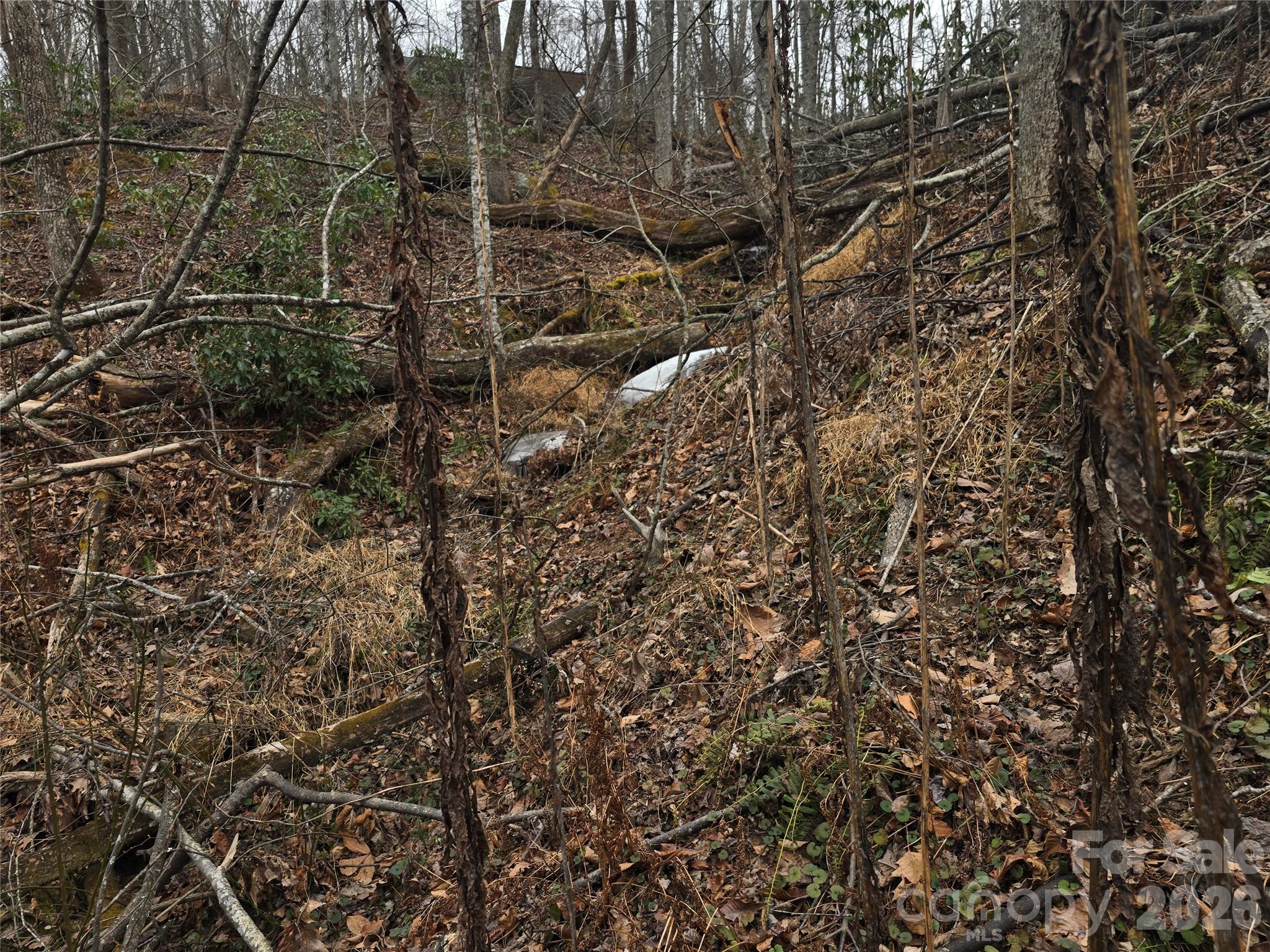 1480 Davis Mountain Road