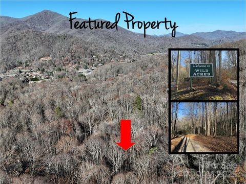 00 Hickory Drive Maggie Valley NC 28751