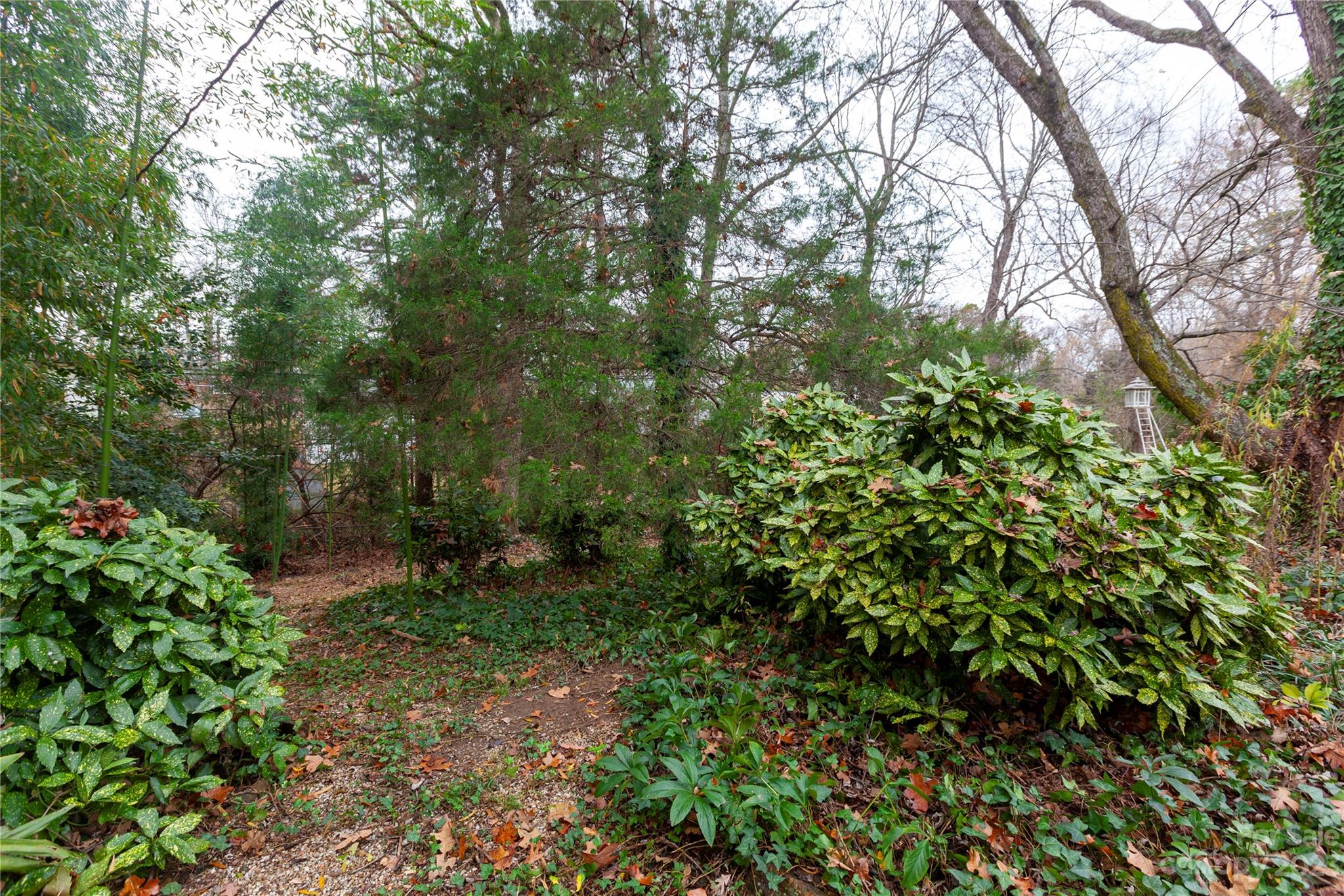 Windsor Park - Residential