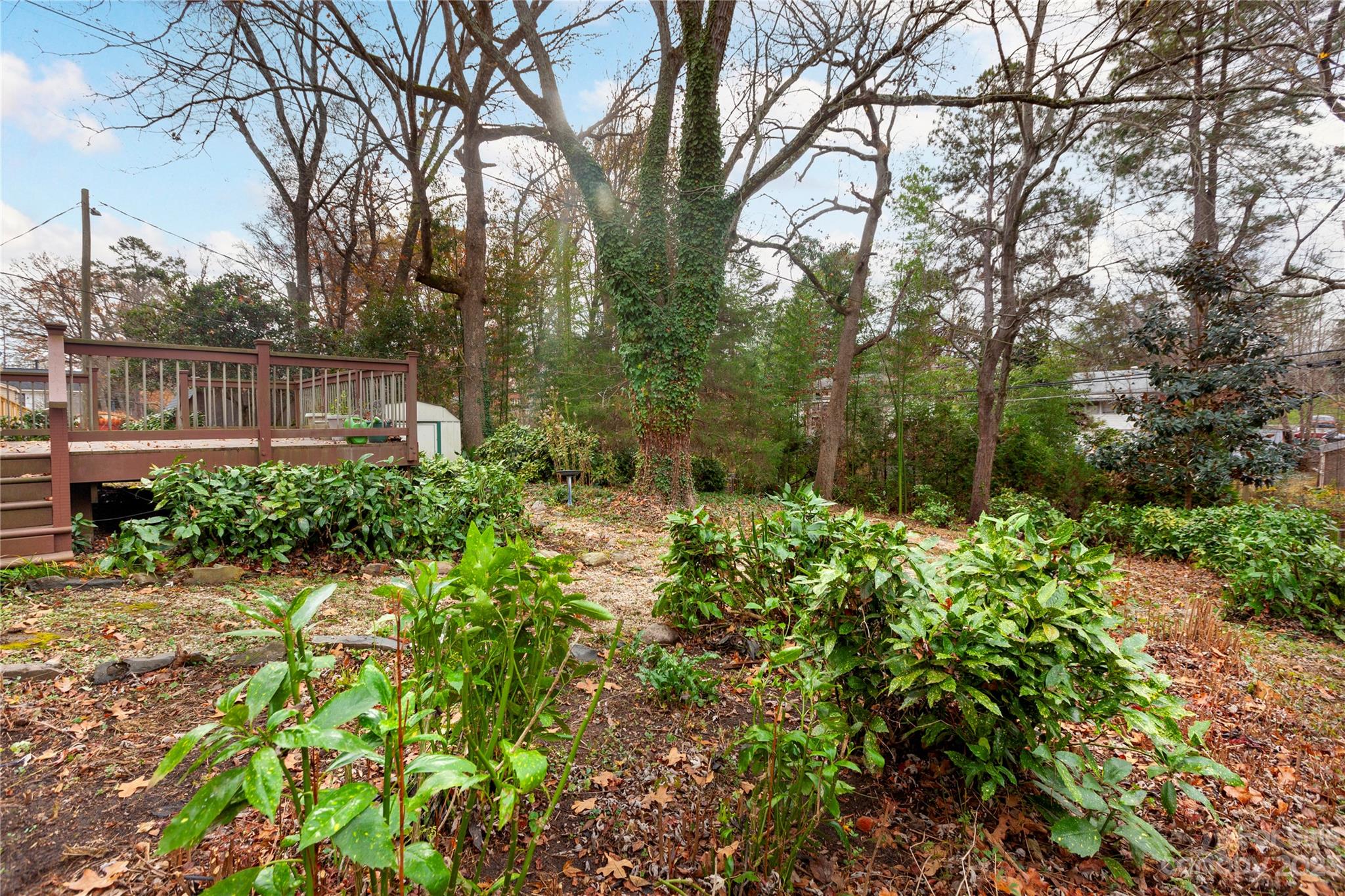 Windsor Park - Residential