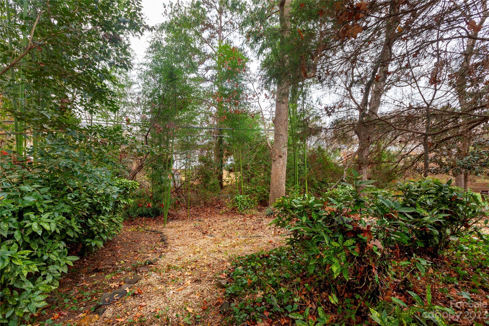 Windsor Park - Residential