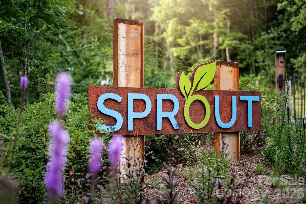 Sprout - Land