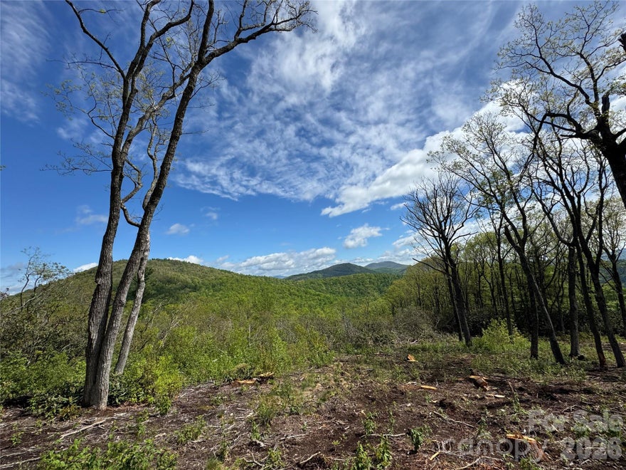 Nature enthusiasts will fall in love with Lot 45, located within the gated community of Sprout. This 2.6-acre homesite offers expansive, unobstructed views of the stunning Blue Ridge Mountains, creating a truly serene and private setting. Bordering a 150-acre nature preserve, the property ensures lasting tranquility and protected surroundings for years to come. The gently sloping terrain provides an ideal and cost-effective build site, while access to an existing well allows you to allocate more resources toward designing and building your dream home.
The community of Sprout is situated between Hendersonville and Asheville, making every day errands so convenient. Only 20 minutes to the Asheville airport and 15 minutes to all downtown Hendersonville has to offer. Explore 5 miles of private trails right outside your back door, plant a harvest in the community gardens or learn to bee keep on the property's 2 apiaries. Sprout is a master-planned community on over 400 acres with only 73 total homesites, giving each owner privacy and serenity.