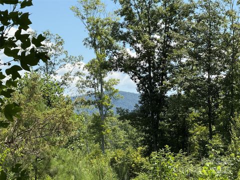 0 Collins Road 4 Bostic NC 28018