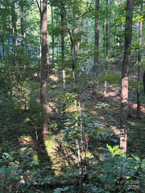 Meadowbrook Farms - Land