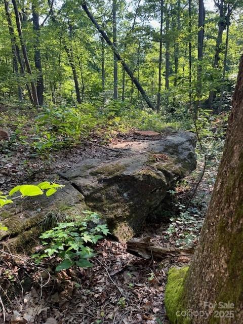 Lot 16 Fox Briar Drive