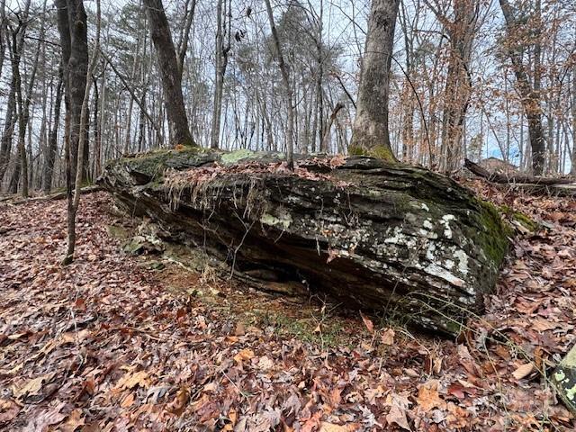 Lot 16 Fox Briar Drive