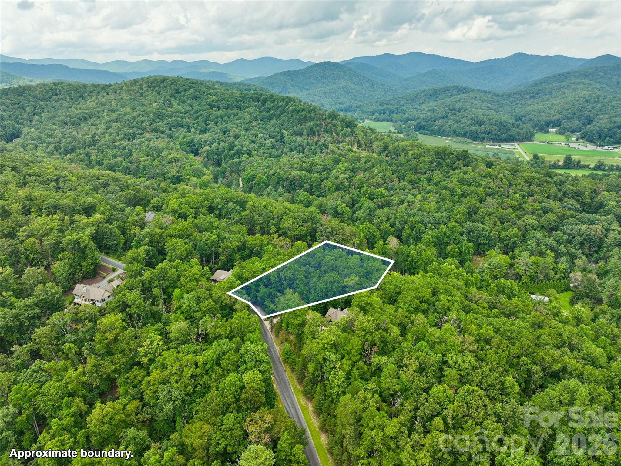 230 Shining Rock Path 64