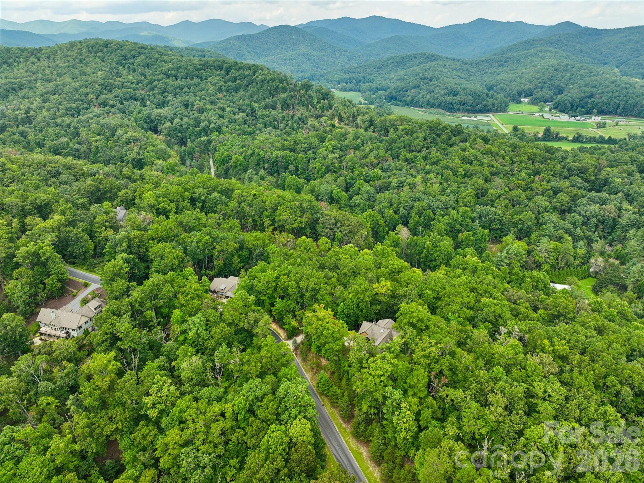 230 Shining Rock Path 64
