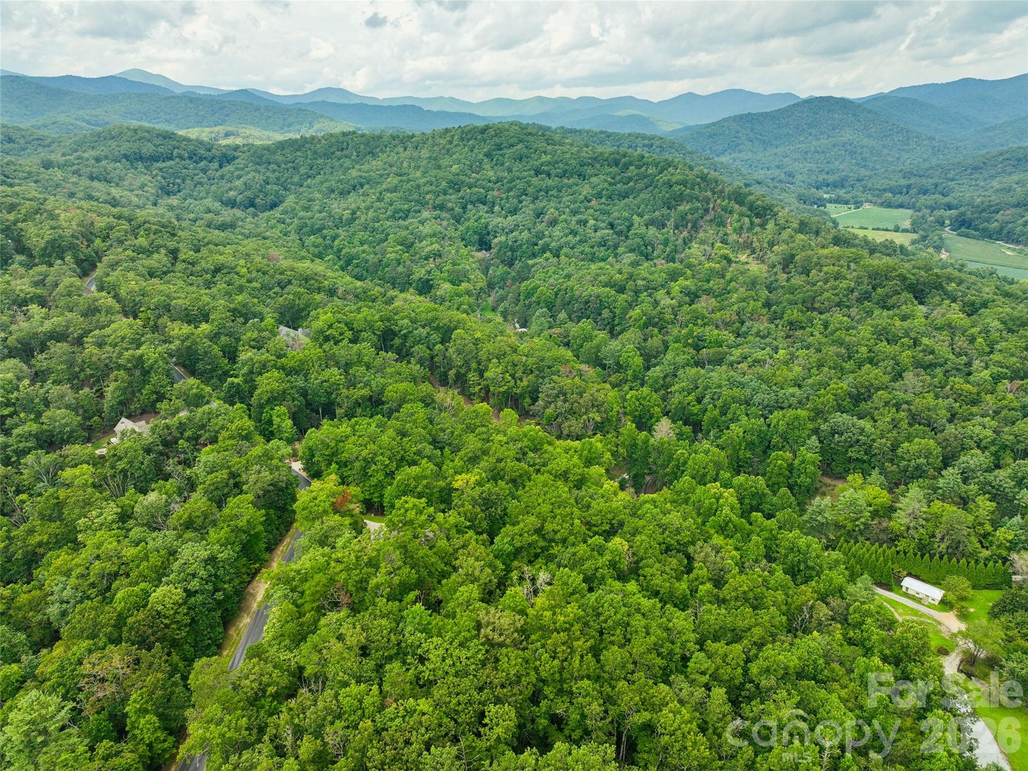 230 Shining Rock Path 64