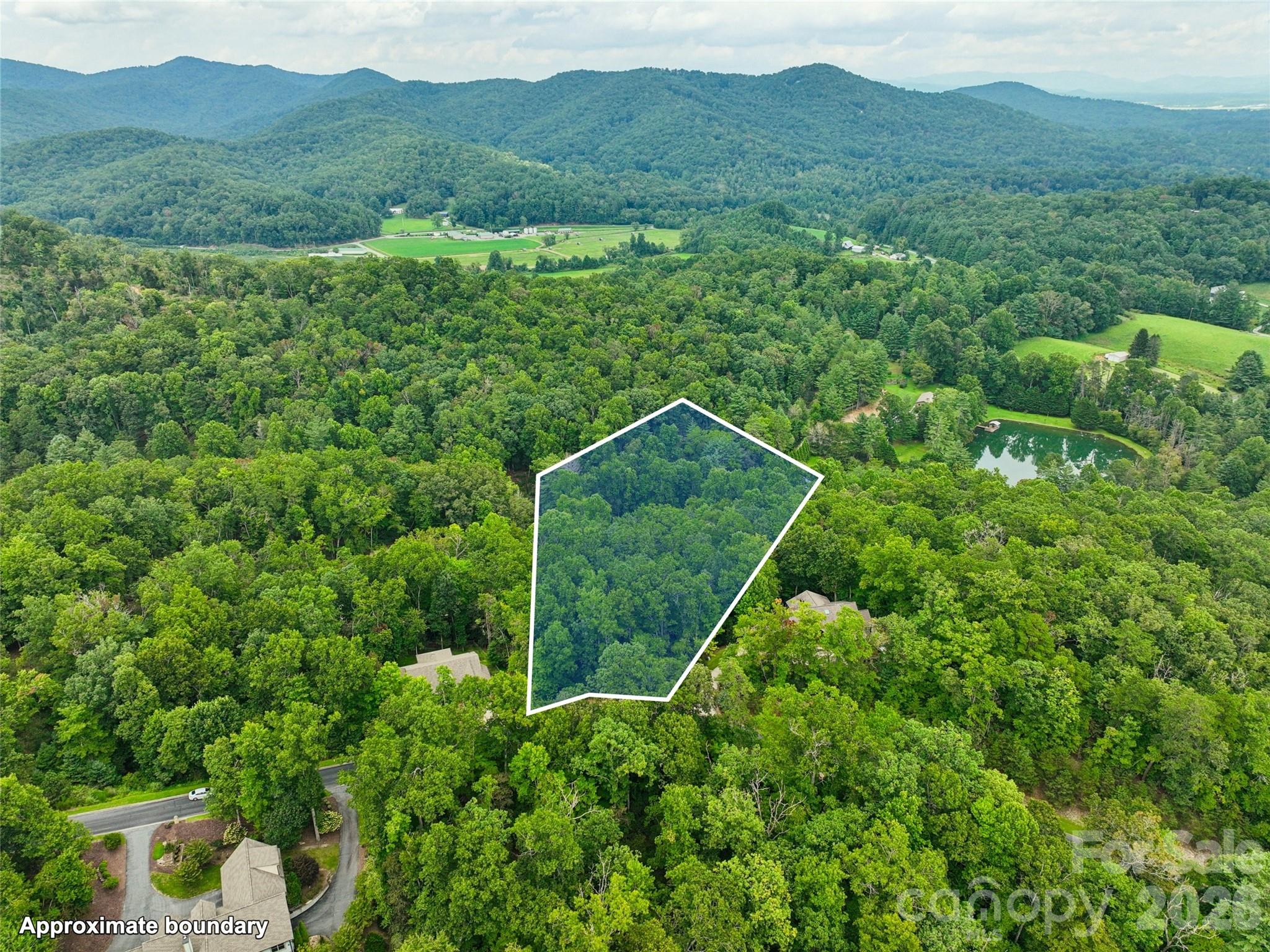 230 Shining Rock Path 64