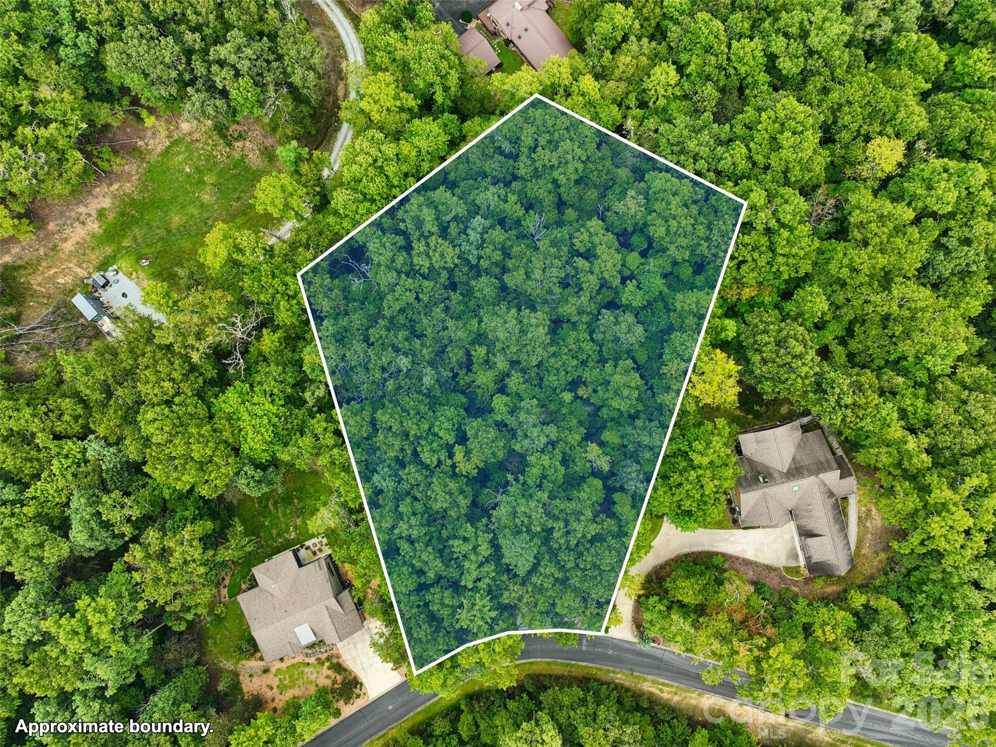 230 Shining Rock Path 64