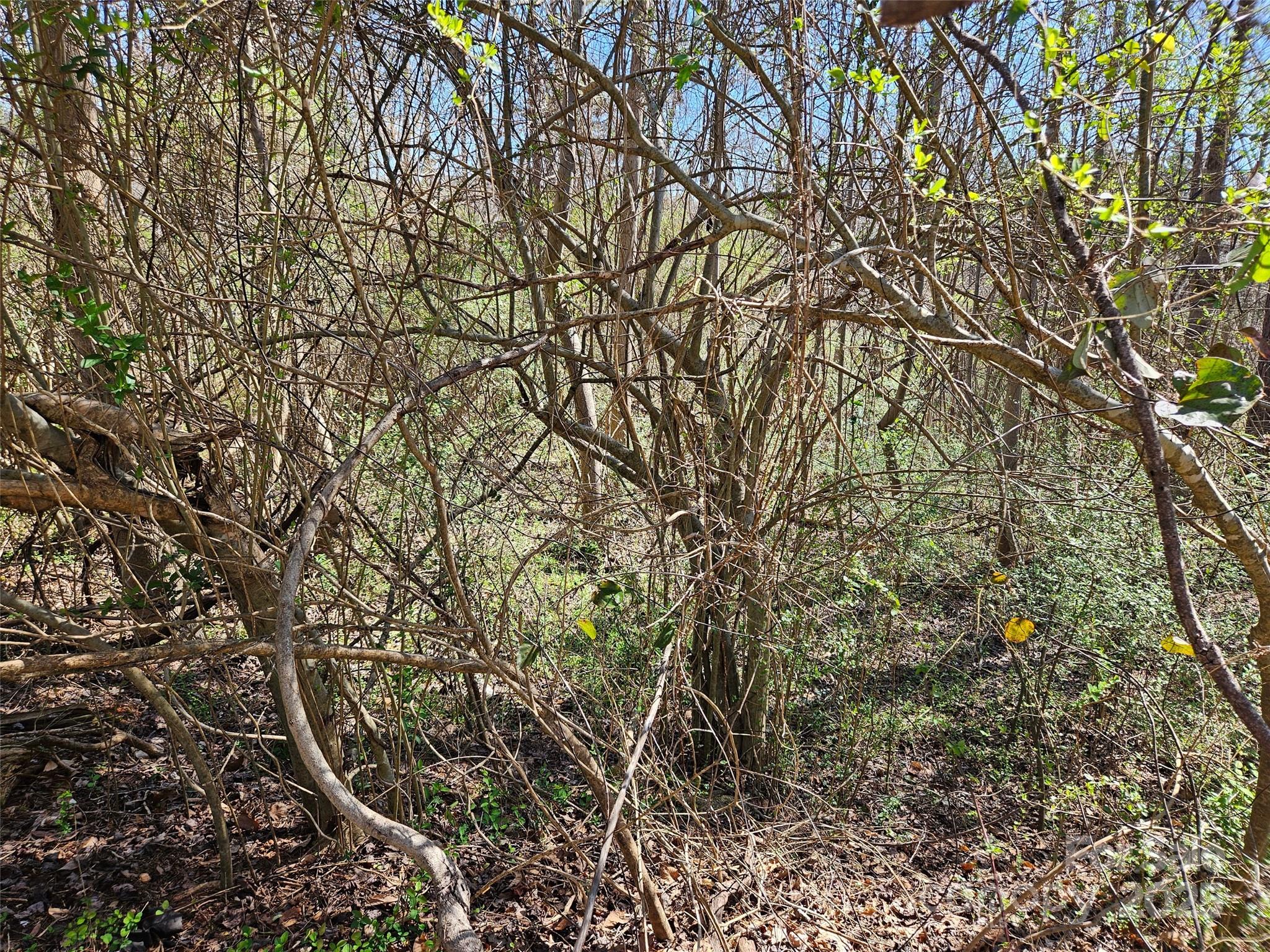 Rutherford Towne - Land