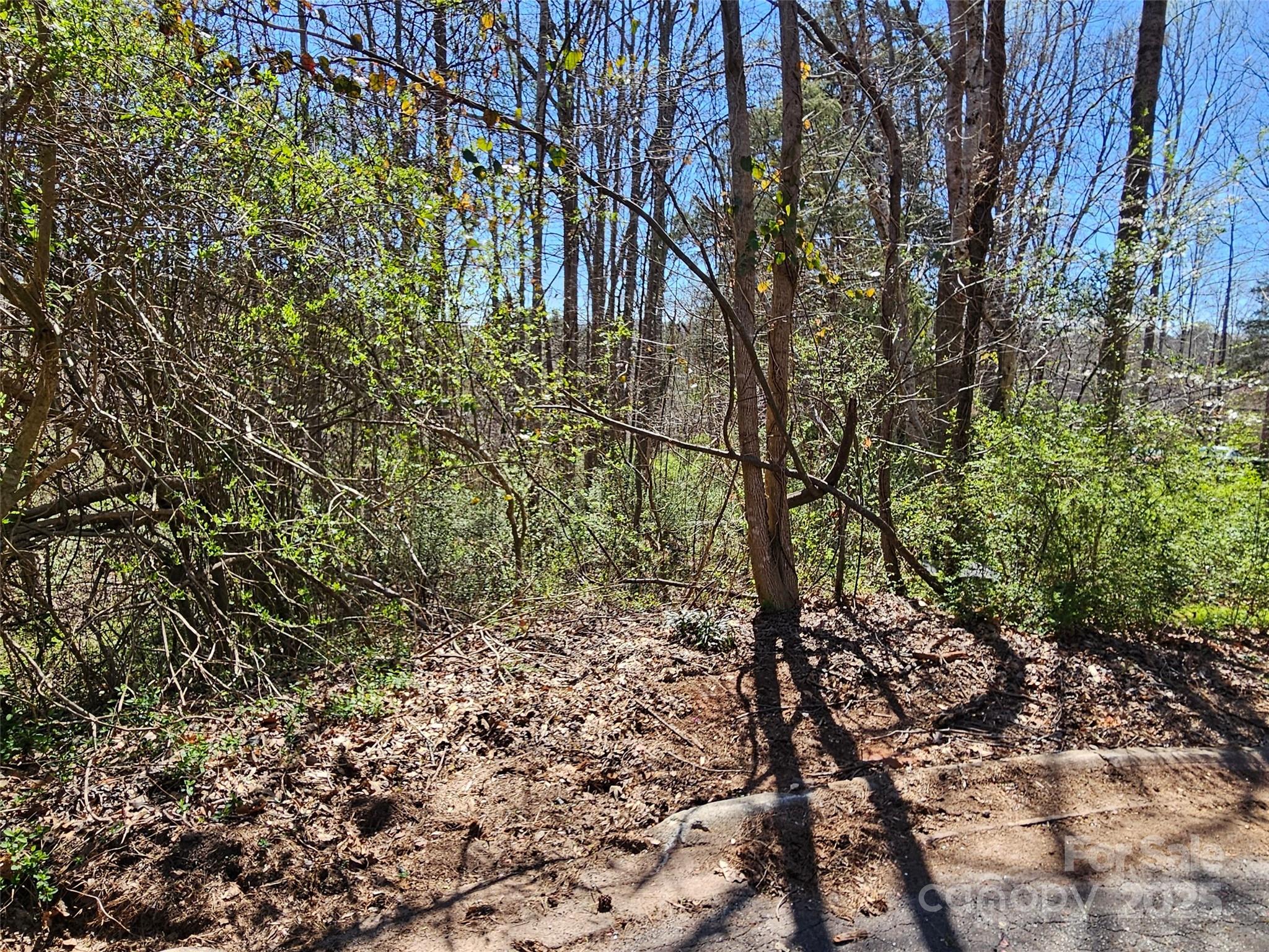 Rutherford Towne - Land