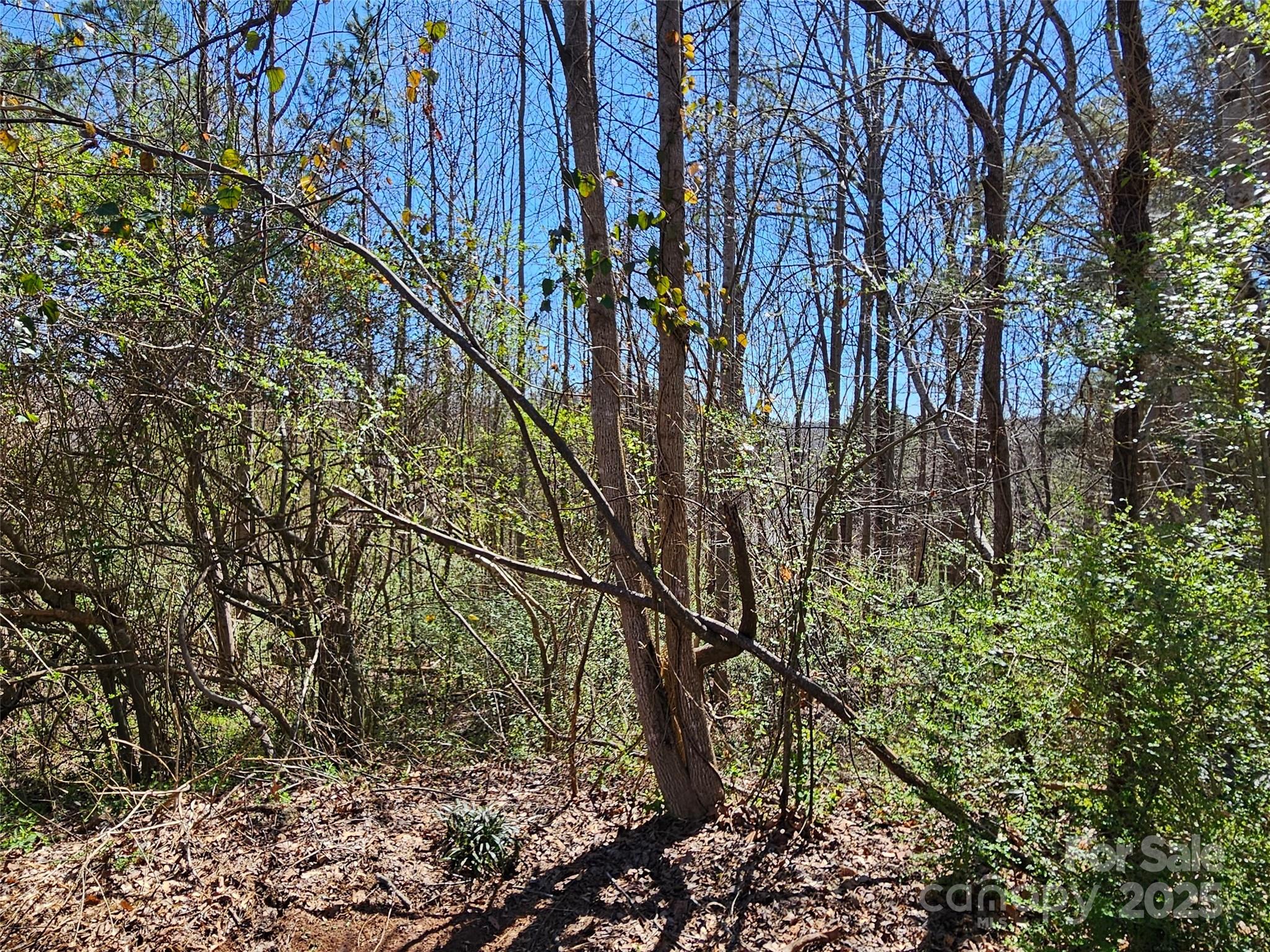 0 Gray Court 56 & 55